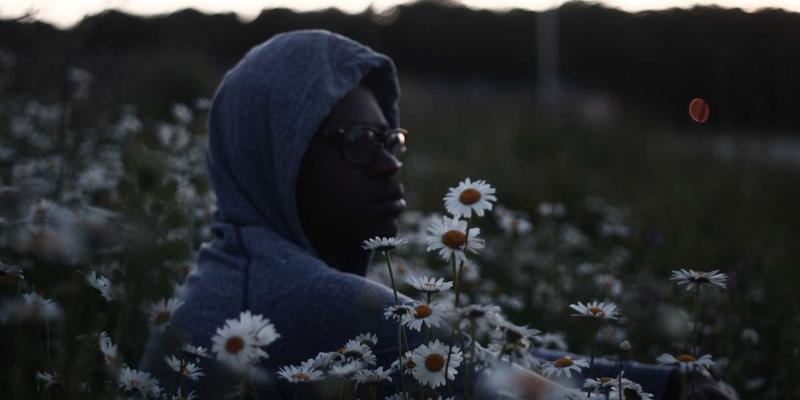 一站式宠物生活圈:揭秘宠物商店如何通过医疗合作守护毛孩健康