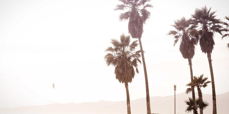 不止是宠物商店:专业训练课程如何通过行为矫正与社交化,打造快乐宠物与和谐家庭