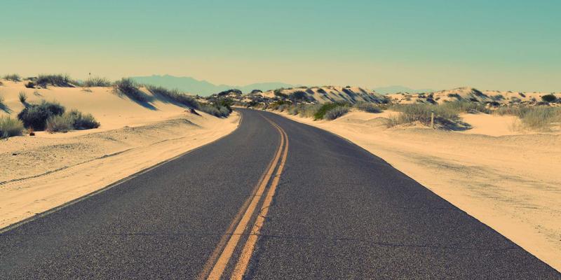 从入门到精通：宠物商店里的爬行动物饲养设备完全指南，兼顾寄养与健康