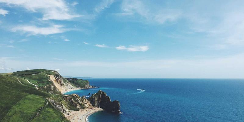 从宠物商店到温馨家庭：幼犬社会化黄金期必备物品清单与科学引导全攻略