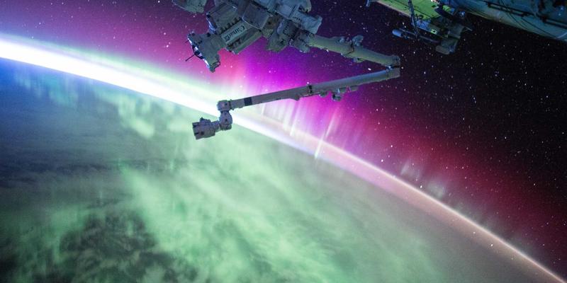 从宠物美容到医疗健康：如何为爱宠选购鱼缸设备，打造完美水族生态箱