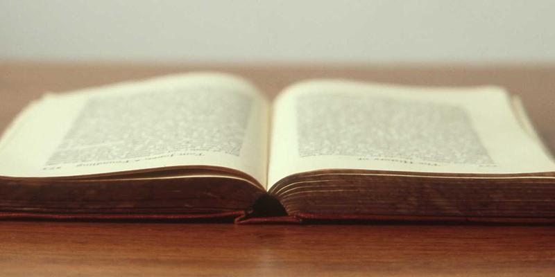 仓鼠饲养箱布置全攻略：从宠物食品到寄养美容，一站式必备清单