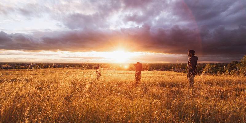 宠物保险怎么买最安心?一份覆盖寄养、医疗与用品的全攻略