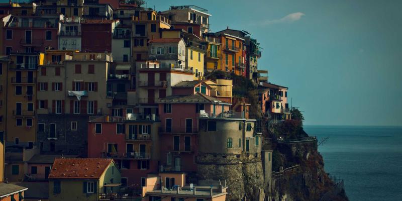 宠物商店猫爬架选购终极指南：从材质到匹配猫咪需求，一篇看懂所有要点