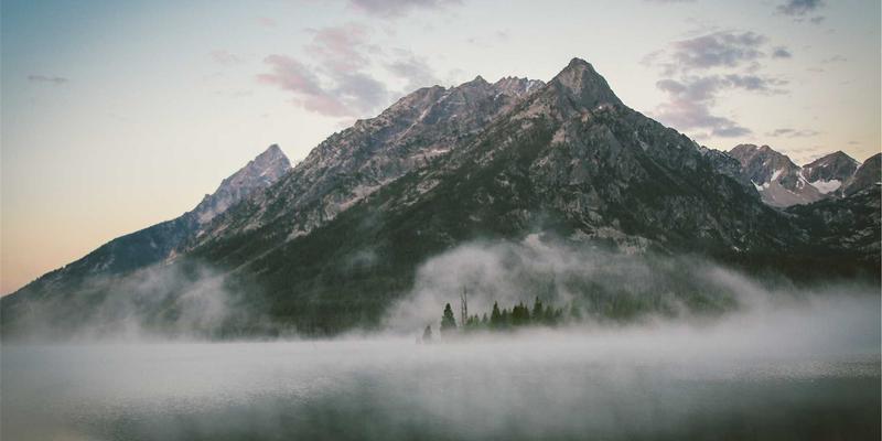 宠物商店猫砂终极指南：豆腐砂、膨润土、水晶砂深度测评，选对让铲屎更轻松！