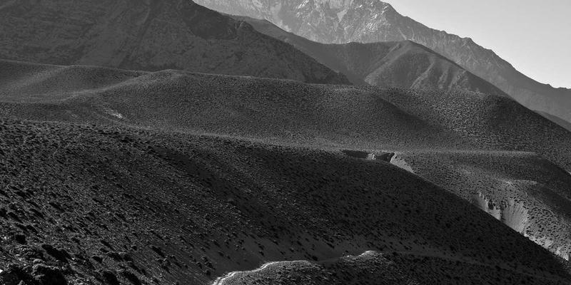 宠物商店的宠物来源揭秘:从源头到家庭,如何确保健康与伦理?