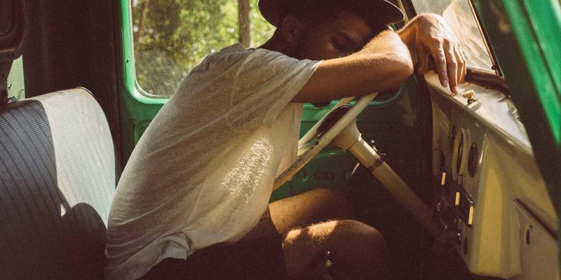 宠物商店选购攻略：看懂食品成分，避开医疗隐患，让寄养更安心