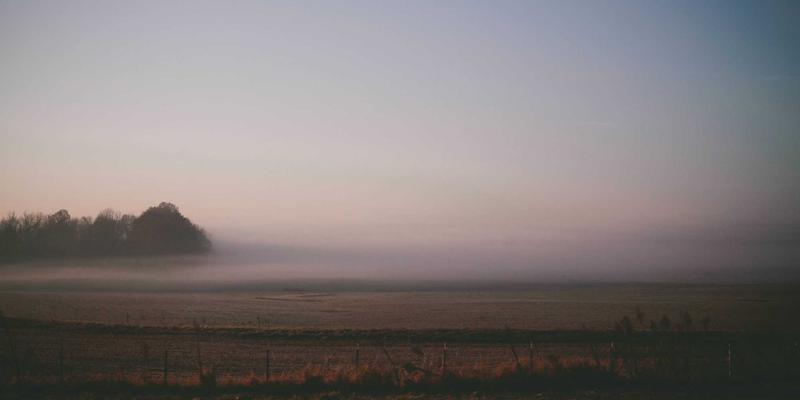 宠物用品选购全攻略:从猫砂盆到狗窝,避开这些坑让爱宠更健康