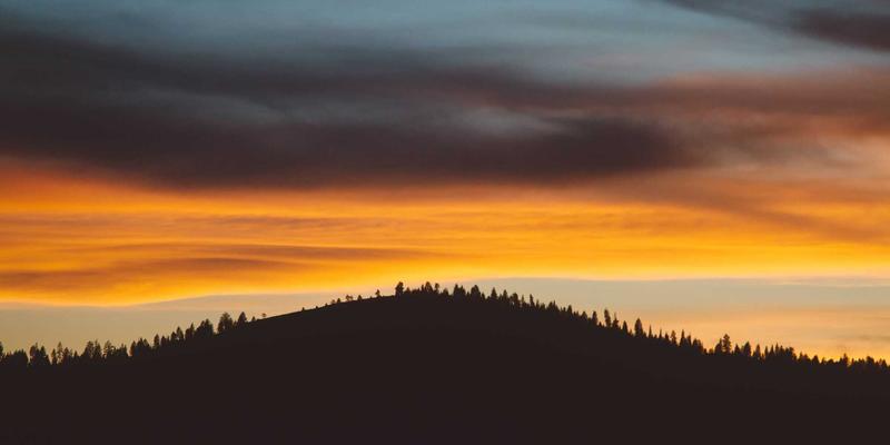 新手必看！在宠物商店为鹦鹉、文鸟挑选笼具、站杆与滋养丸的避坑指南