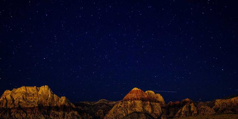 新手必看！宠物商店选幼猫的隐藏技巧：从行为观察到健康检查，完美避开遗传病风险