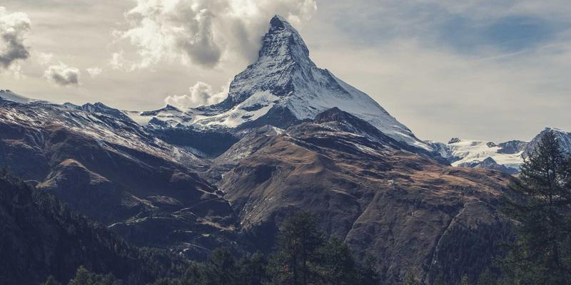 狗狗出行装备全攻略:项圈、胸背带与牵引绳的材质安全、行为训练与医疗寄养适配性深度解析