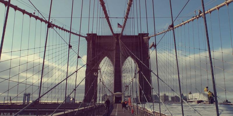 逛宠物商店别只买玩具！这份藏在条款里的健康保障，才是给爱宠最好的礼物